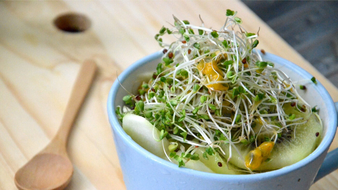 Bowl with broccoli sprouts and fruits