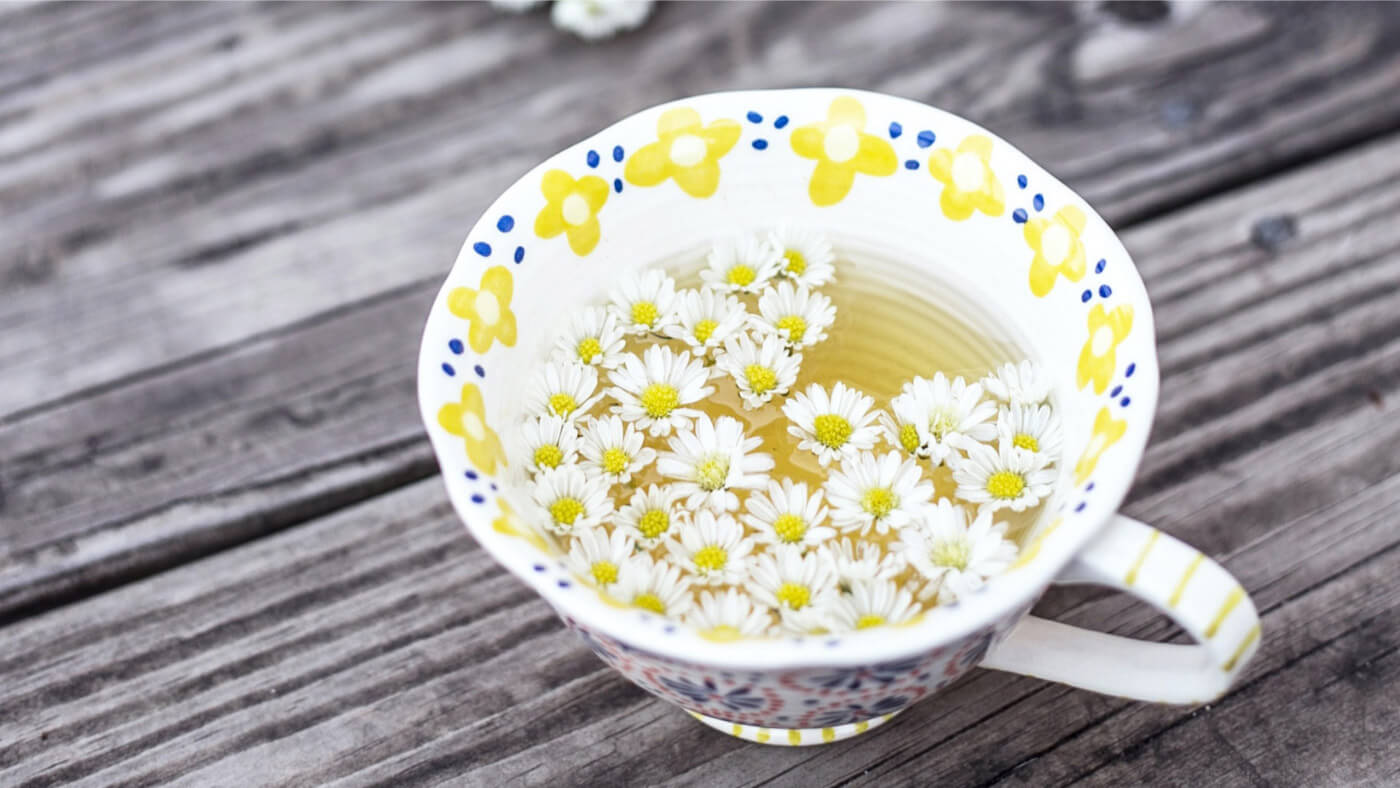 Chamomile tea - flowers in a tea cup