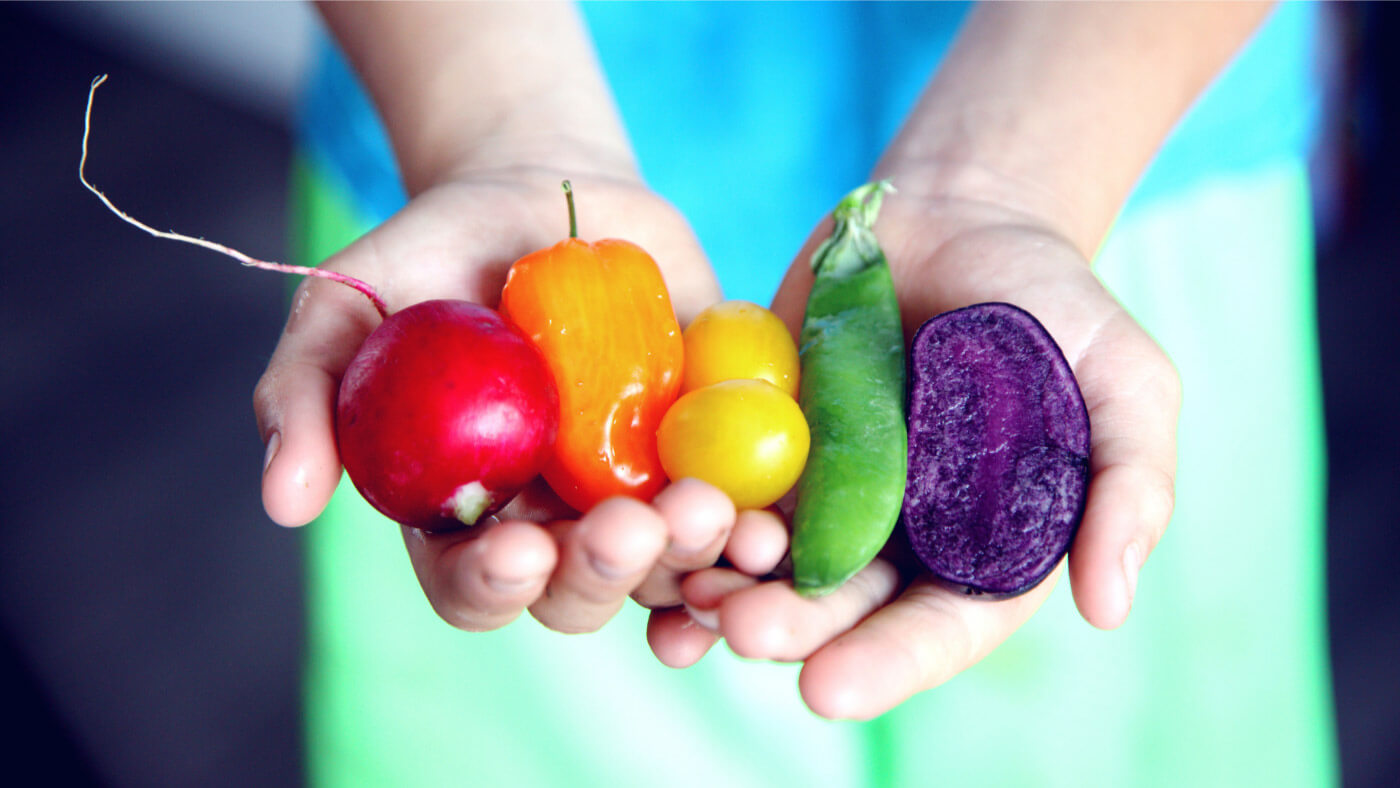 Colorful vegetables red radish orange pepper yellow tomatoes green bean pod violet beet